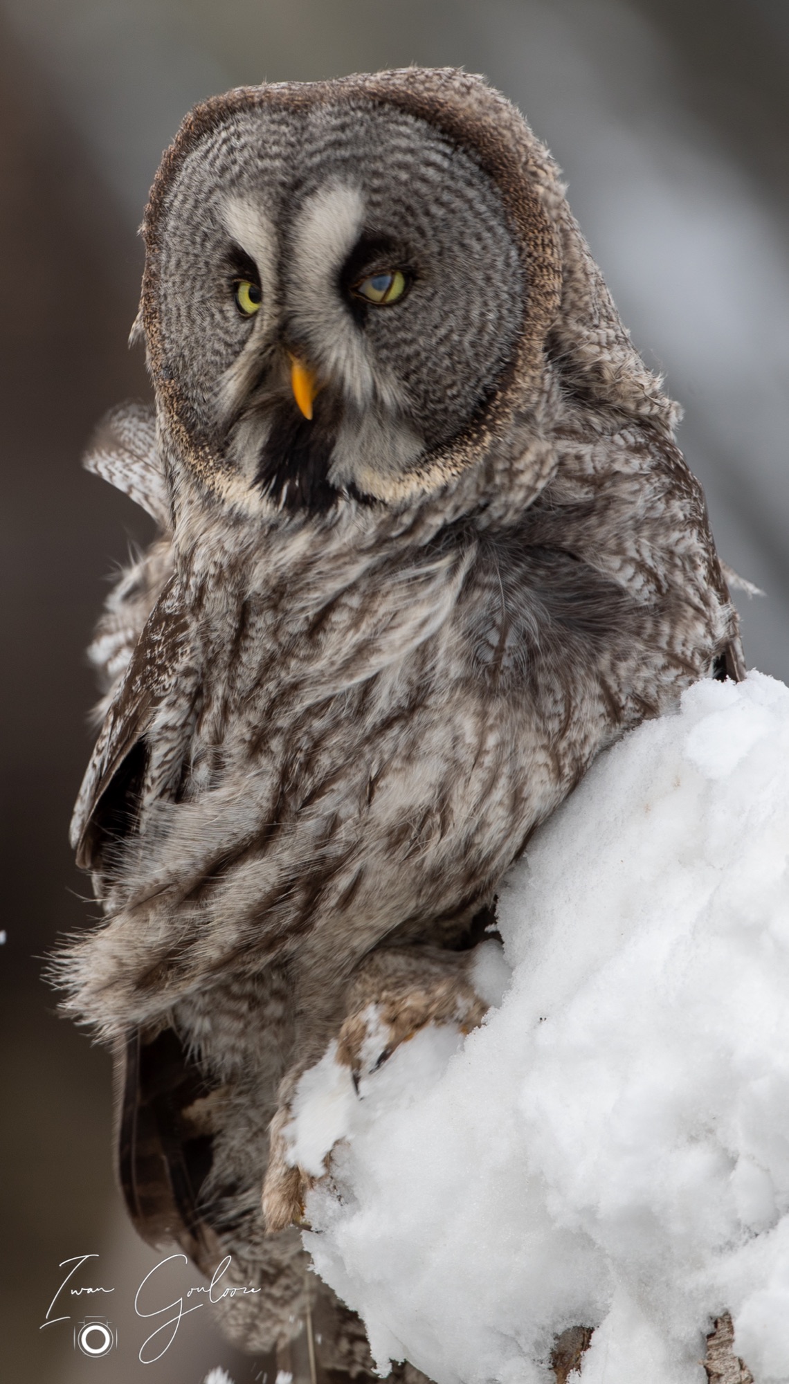 01 april 2022 103722 1DX46946